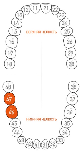 Кламп удерживающий для повязок и ватных ролов Dentech (Япония) G1